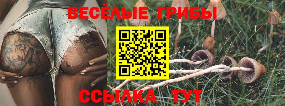 Галлюциногенные грибы GOLDEN TEACHER Полевской